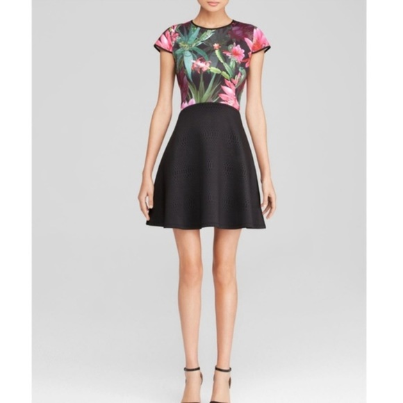 Ted Baker London Dresses Carllie Chameleon Print Skater Dress Sz 1 (US Sz 4) - Picture 1 of 11